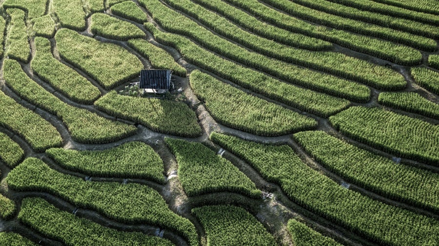 Designing wiring harnesses for sustainability using the carbon footprint and the comprehensive digital twin