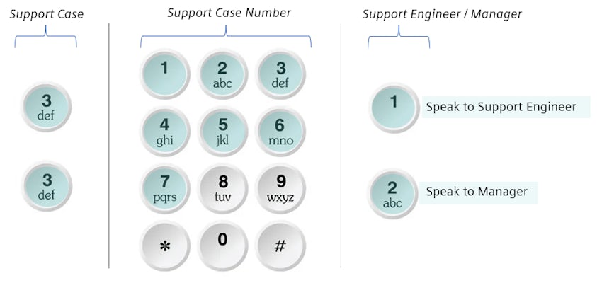 Graphic displaying phone dial-in instructions.