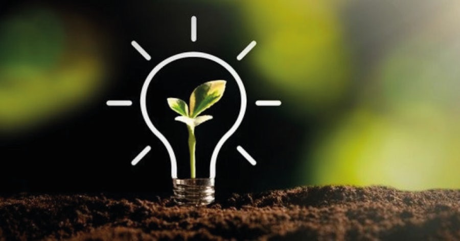 Green plant growing inside a lightbulb outline