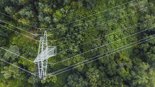 An energy tower in a forest represents a sustainable world.