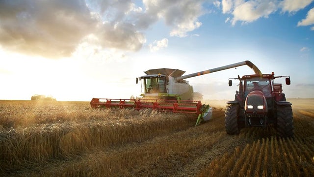 A combine harvester in a field, harvesting a crop
