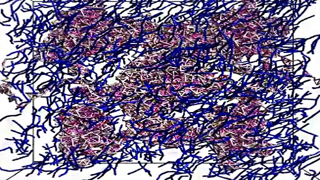Instantáneas de la simulación de la absorción de moléculas de aceite (azul) en una solución acuosa que contiene proteínas vegetales (púrpura) utilizada para el cribado virtual de la formulación óptima de soluciones nutritivas médicas