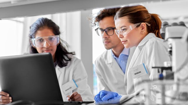 People working in a lab on the computer.