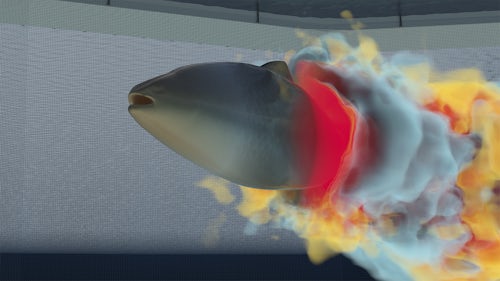 A fish model computational fluid dynamics (CFD) simulation visual from Siemens software.