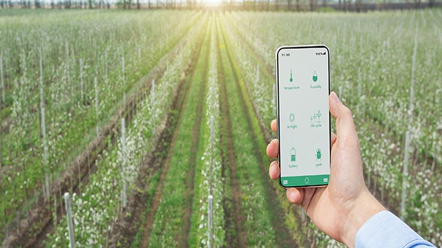 IoT device connected to sensors for agriculture monitoring