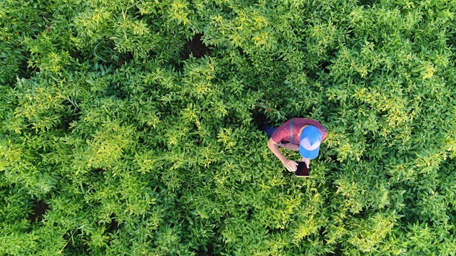 Webinarreihe zur Nachhaltigkeit