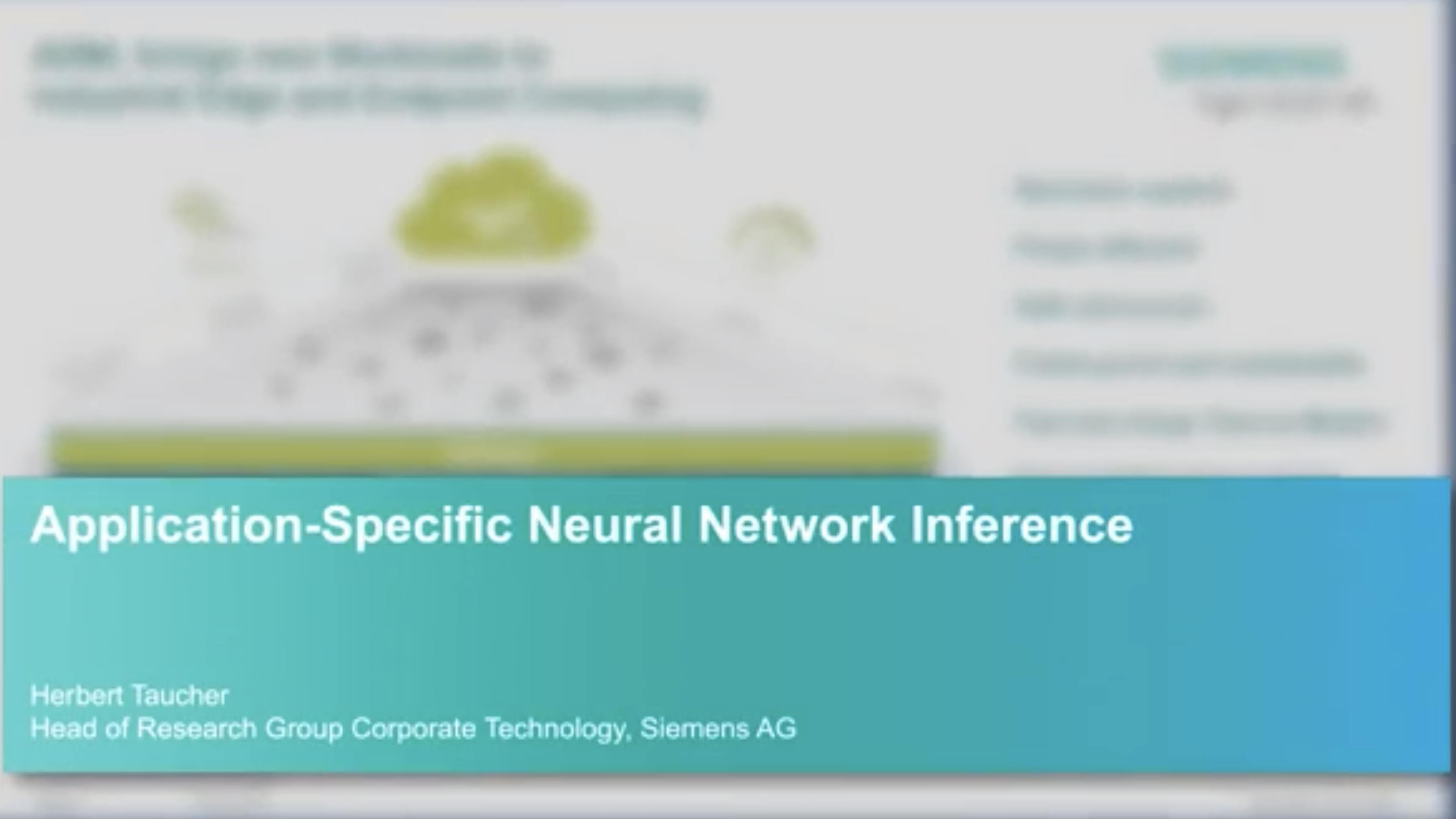 Application-Specific Neural Network Inference