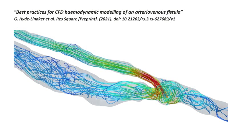 Slide titled “Best practices for CFD haemodynamic modeling of an AVF” with a graph measuring velocity magnitude