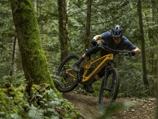 A man riding a bike in a forest.
