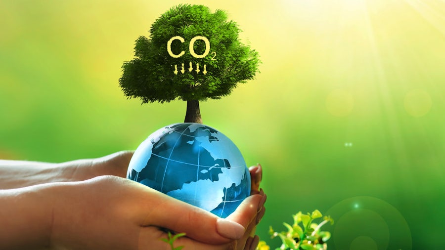 Obrázek velkého listnatého stromu na zeměkouli, který drží v rukou člověk. Na listech jsou nápisy CO2 a šipky směrem dolů.