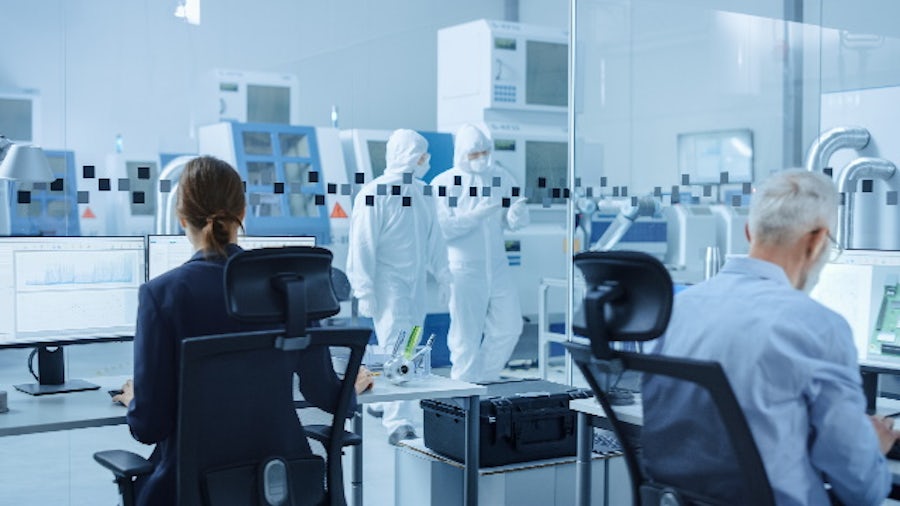 Small- to medium-sized businesses in MDD