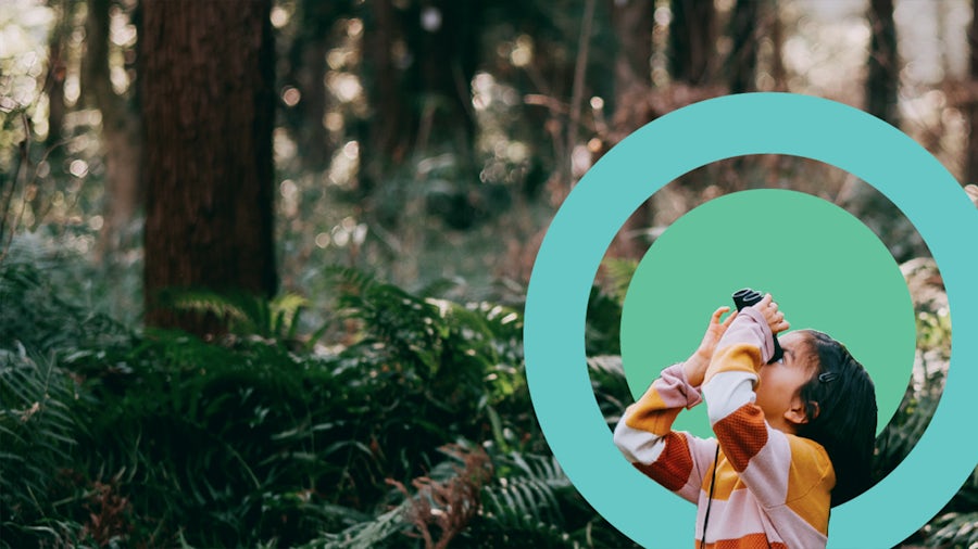 Ecodesign or the sustainable design of goods and services