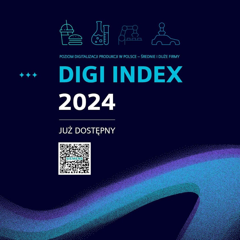 Digi Index 2024