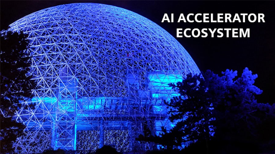 AI Accelerator Ecosystem: An Overview