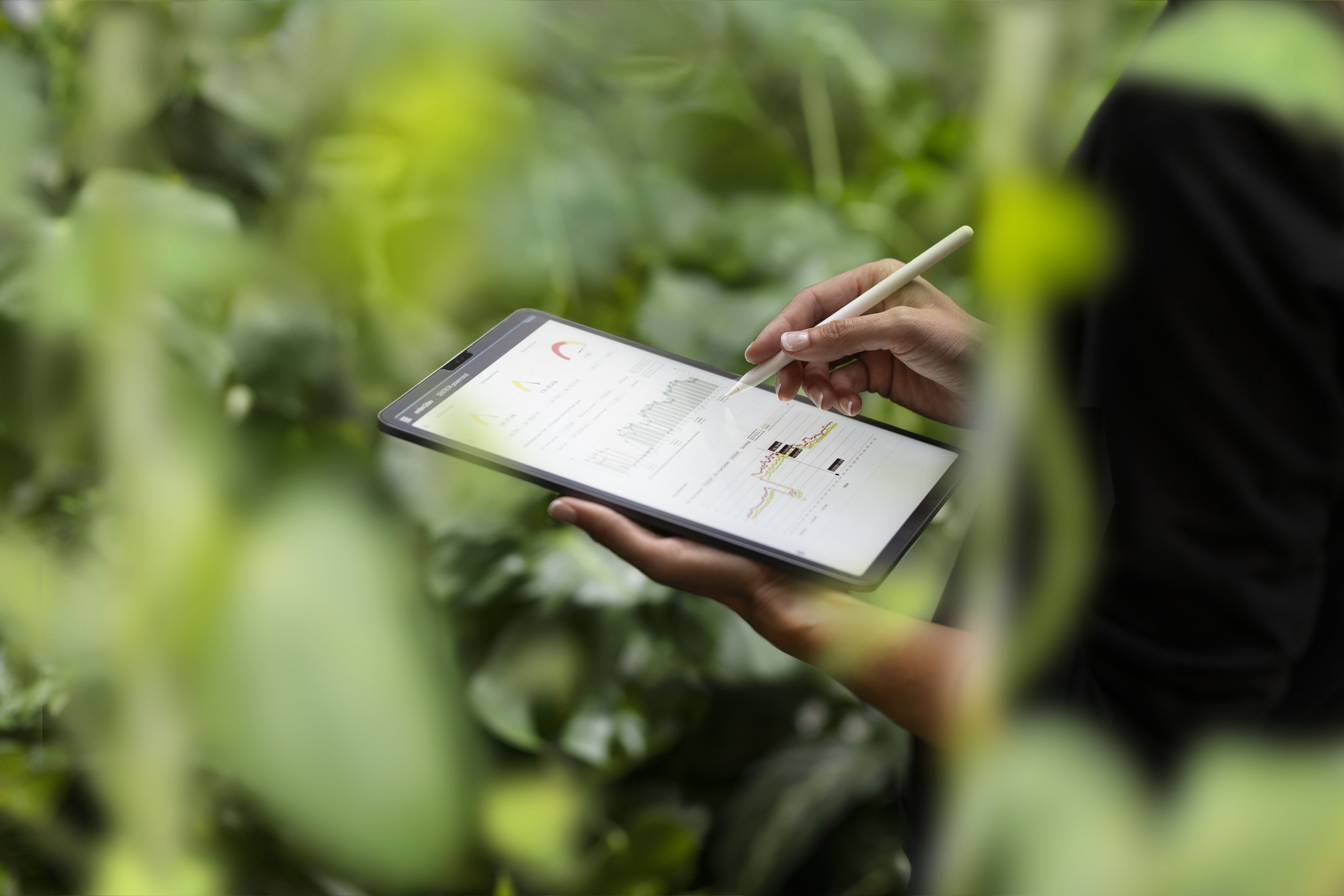 Webinar Expert Workshop Series - Sustainability Messaging: How to make 'green' and 'sustainable' mean something.