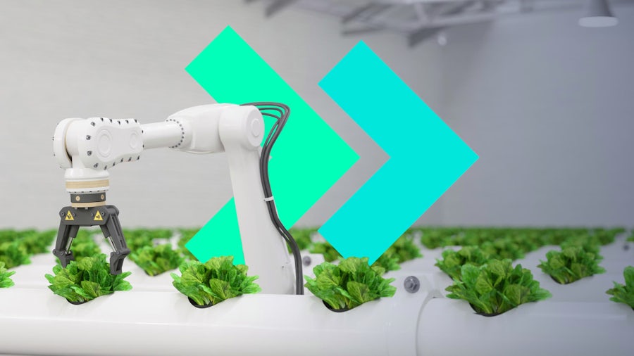 Un braccio robotico che raccoglie le verdure a foglia verde in un impianto di agricoltura indoor ad alta tecnologia, a simboleggiare operazioni di produzione ottimizzate e sostenibili nell'industria alimentare e delle bevande.