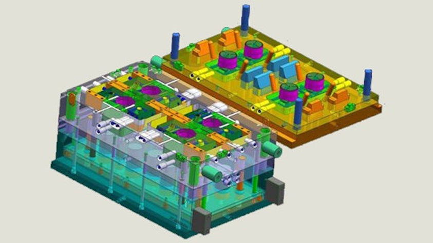 Class 101 mold experts