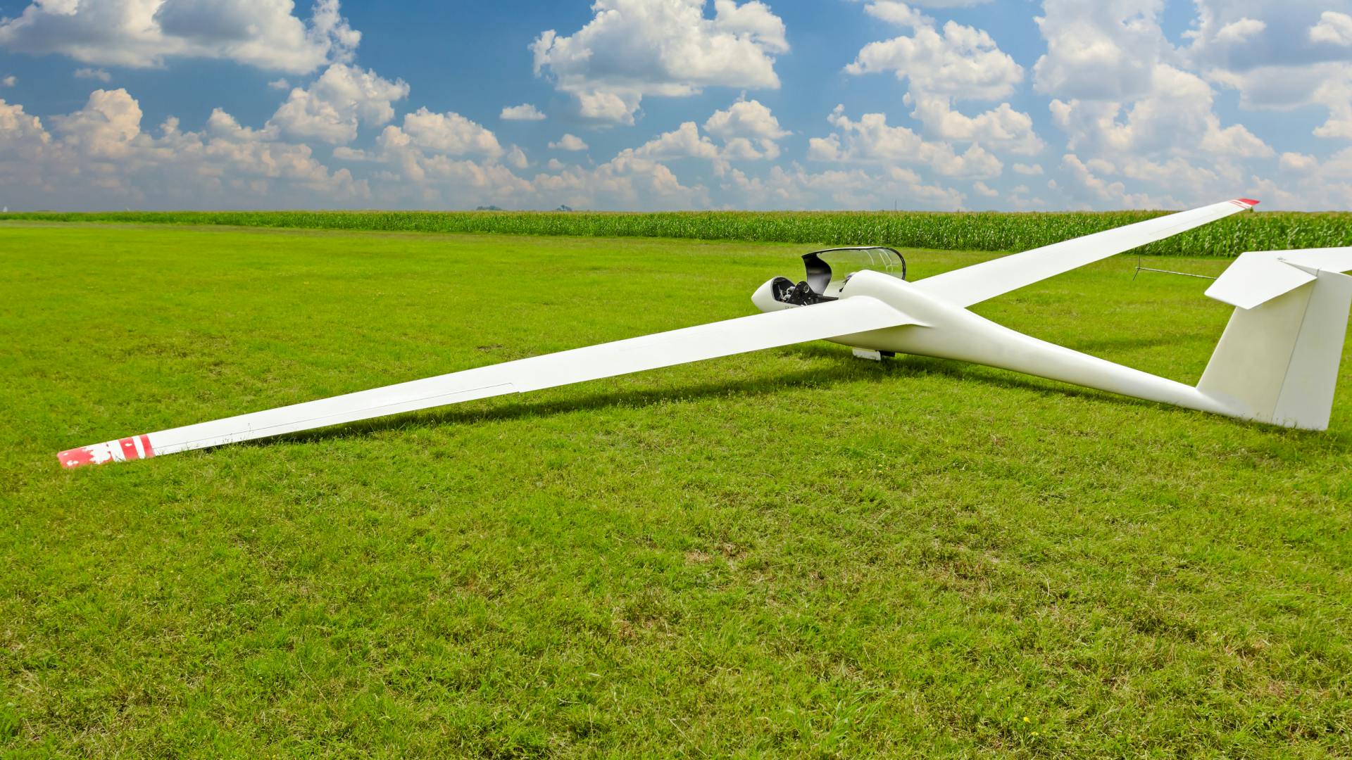 A glider in the grass represents emerging   opportunity and innovation propelling the future of sustainable aviation.