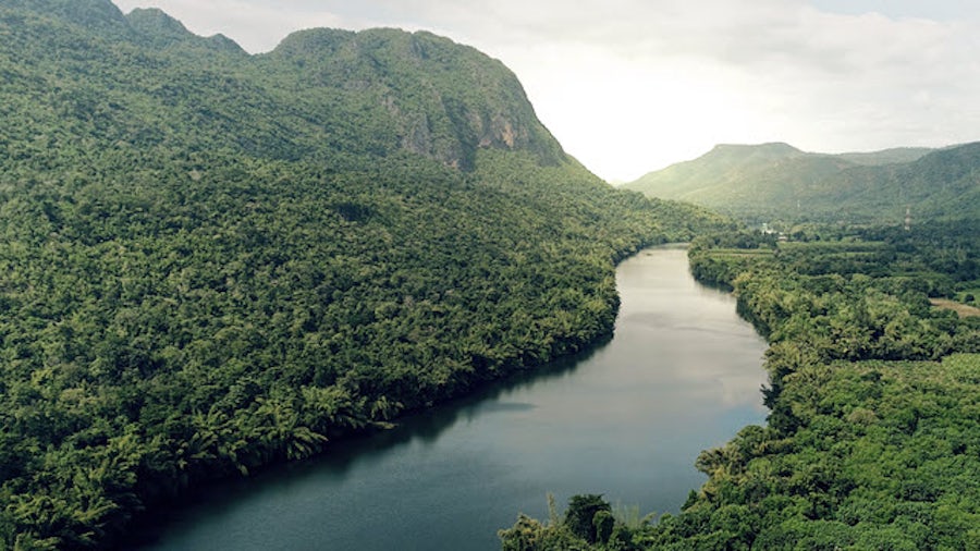 Making your DPI-C interface a fast river of data