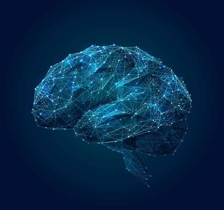 Graphic of a brain, with lines and dots representing networking