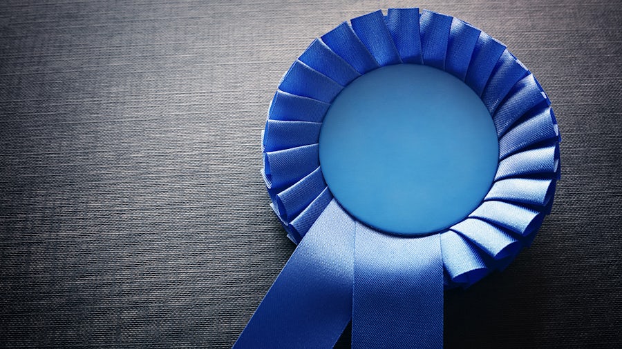 Blue ribbon award with pleated edges and hanging tails, placed on a textured gray surface.