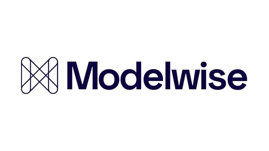 Modelwise logo