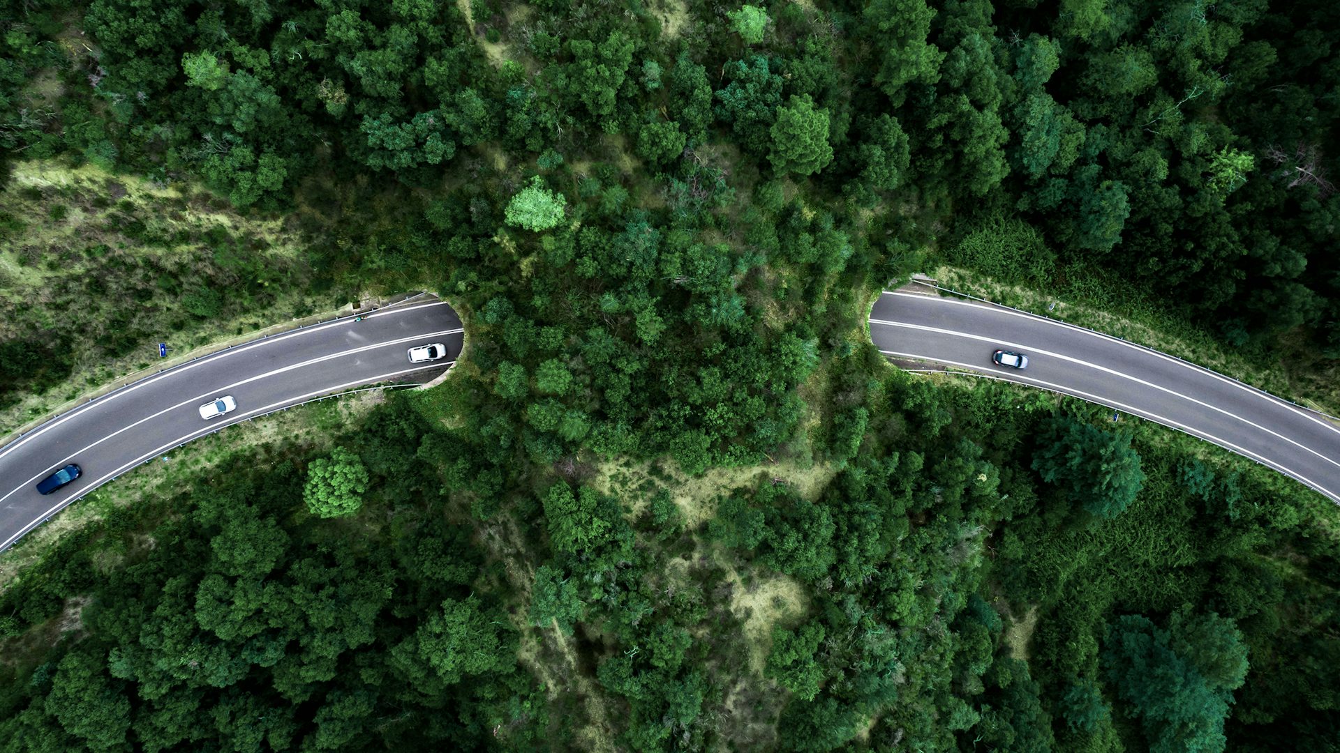 Vista aérea de una curva de carretera que atraviesa un paisaje boscoso.