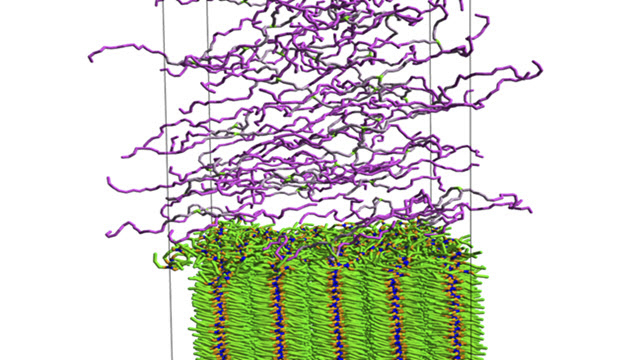 Detergent computational chemistry simulation.