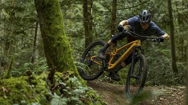 A biker riding a bike in a forest.