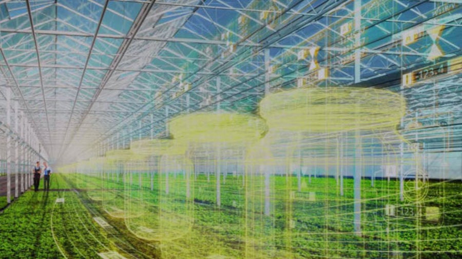 使用行业领先的技术实现可持续发展的产品设计和创新。