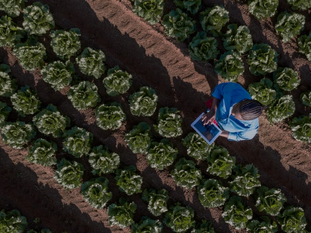 overhead view of a worker on a farm using technology that helps improve sustainability.