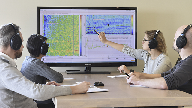 Alcuni ingegneri discutono della qualità del suono usando la soluzione Simcenter.