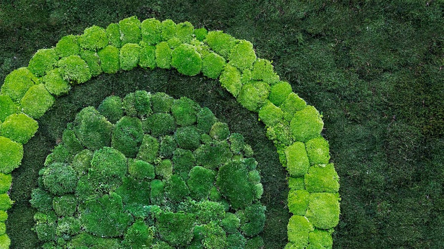 Sustainability Report