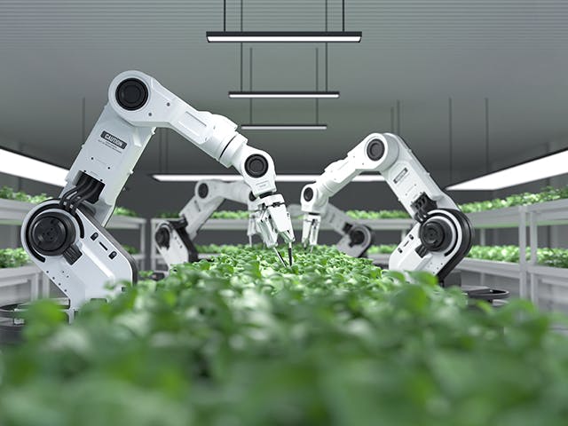 Robotické paže pečující o rostliny ve skleníku.
