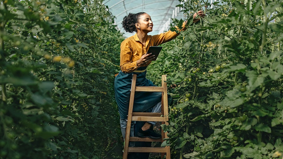 woman in green environment