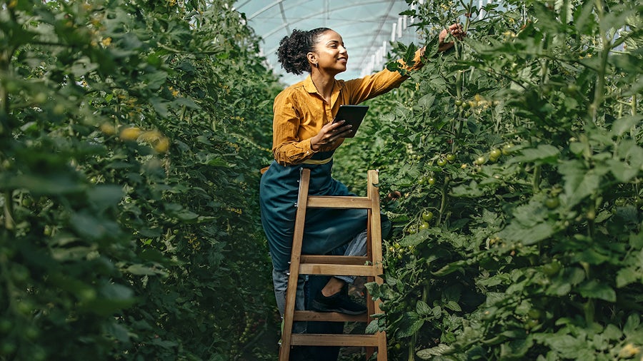 woman in green environment