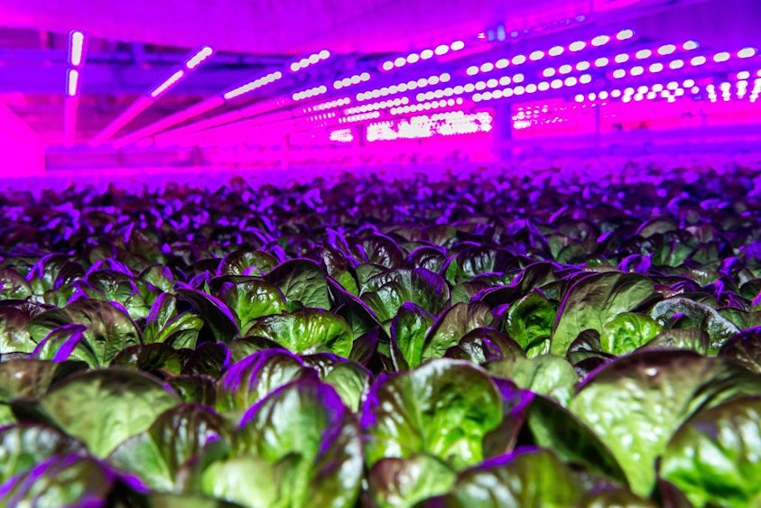 Vertical farming