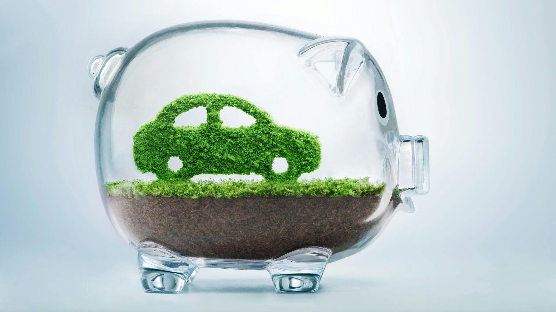 A glass piggy bank with soil, grass, and a hedge in the shape of a car