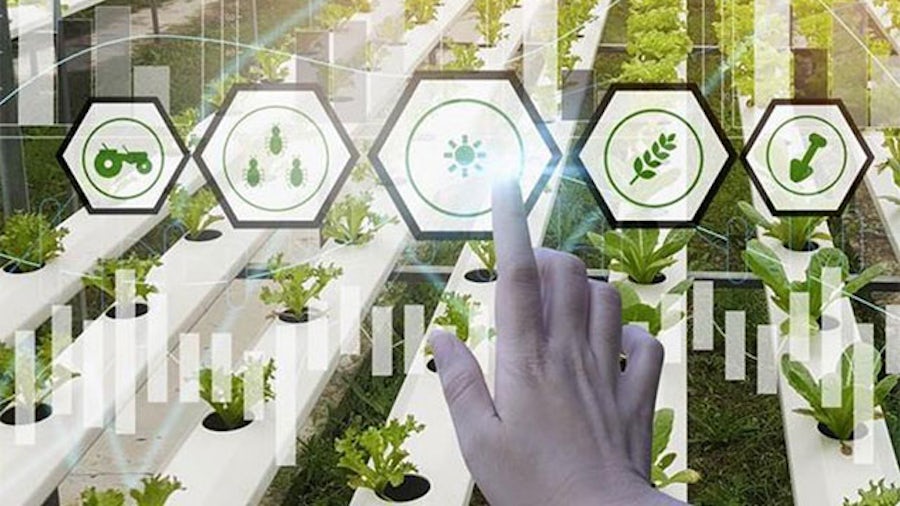 traceability-in-food-and-agricultural-products