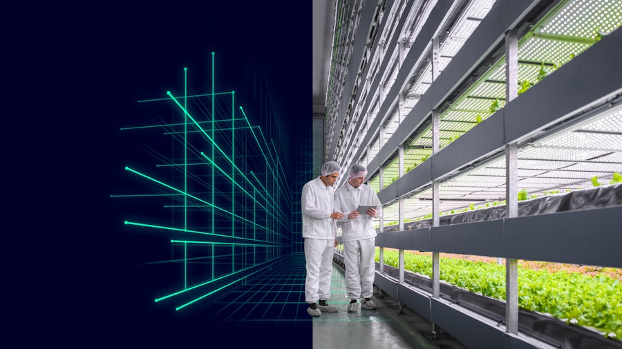 Planta de fabricación de bienes de consumo envasados