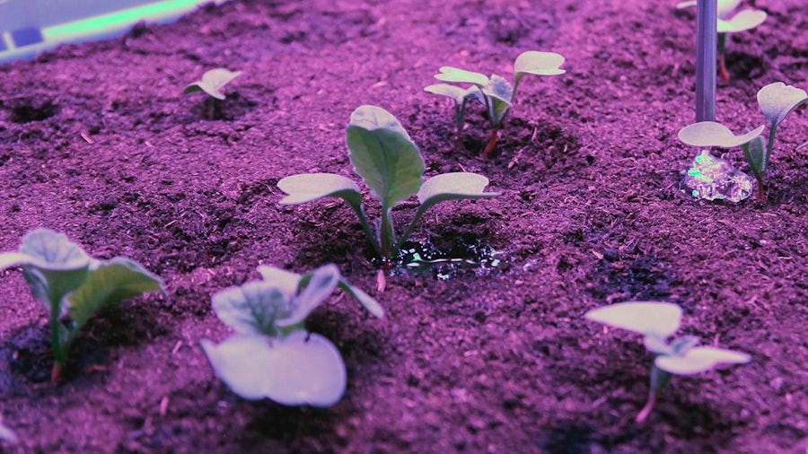 Two young women in front of a car with its digital twin