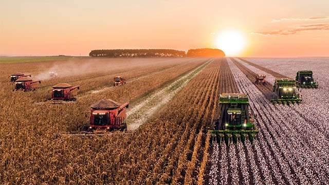 A few tractors harvesting on a field.